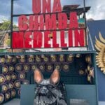 Escultura de perro y letrero rojo “Una Chimba Medellín” en la Comuna 13 de Medellín, símbolo del arte urbano y la cultura paisa.