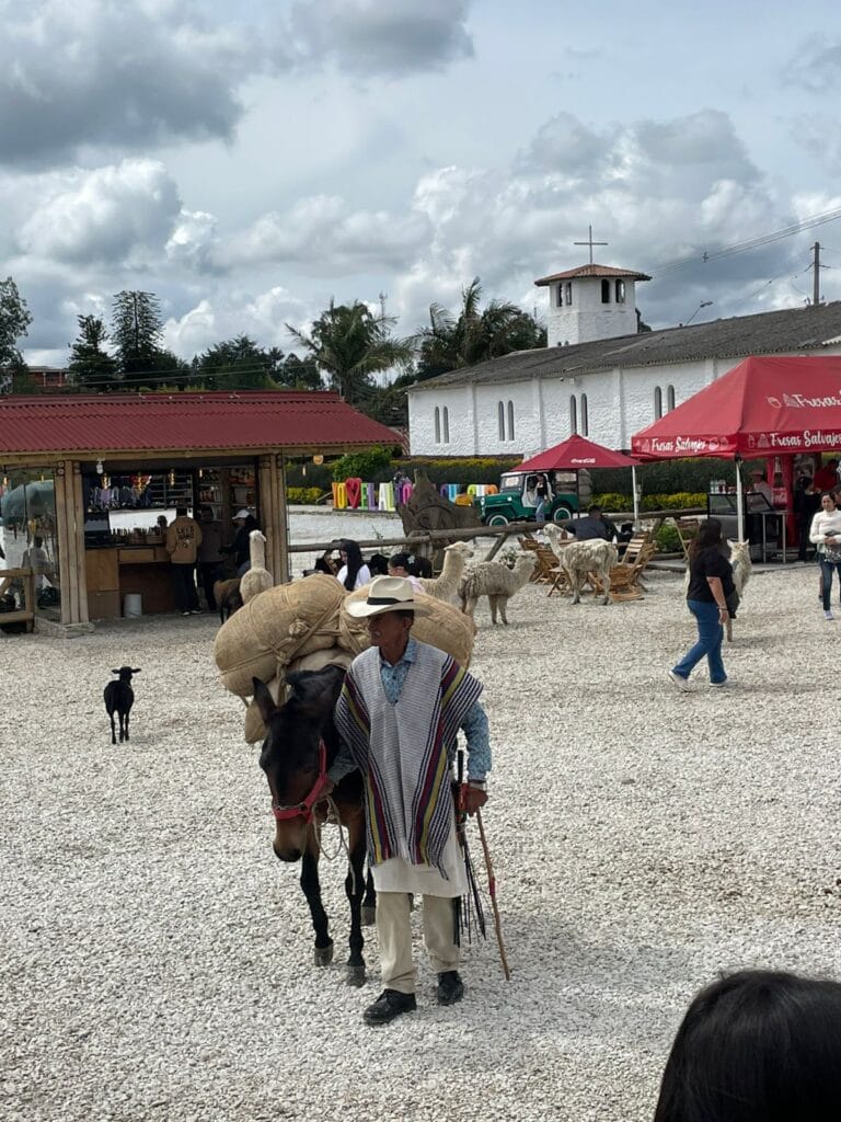 Tradición que camina: el arriero antioqueño